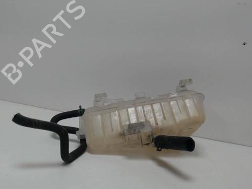 Expansion tank RENAULT KANGOO / GRAND KANGOO II (KW0/1_) 1.5 dCi 90 (KW05, KW08, KW0G, KW11) | BP26995483C120 