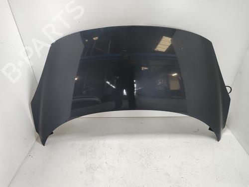 Used Hood RENAULT SCÉNIC III (JZ0/1_) 1.5 dCi (110 hp) 26991014