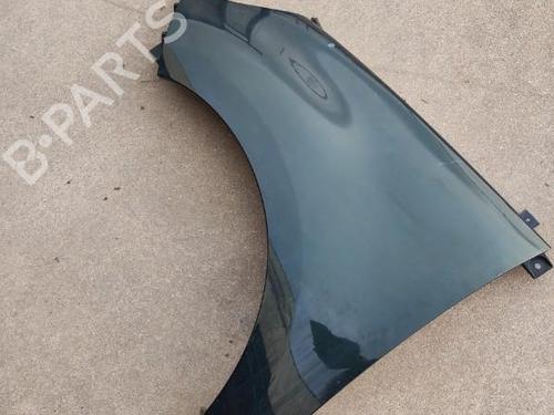Left front fenders RENAULT SCÉNIC III (JZ0/1_) 1.9 dCi (JZ0J, JZ1J, JZ1K, JZ1S) | BP26996143C41 