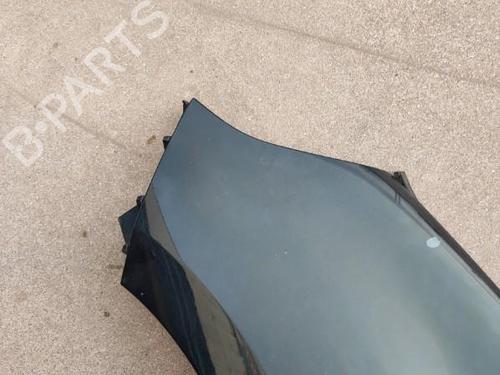 Left front fenders RENAULT SCÉNIC III (JZ0/1_) 1.9 dCi (JZ0J, JZ1J, JZ1K, JZ1S) | BP26996143C41 