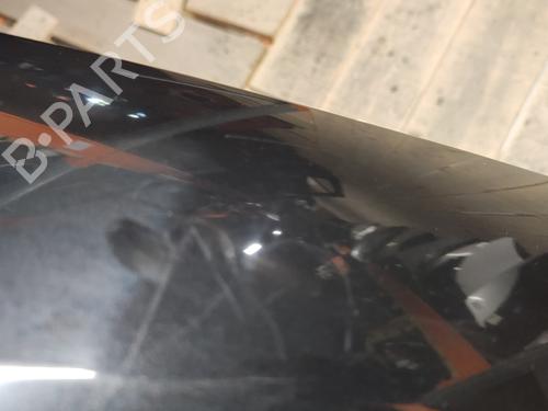 Left front fenders RENAULT SCÉNIC II (JM0/1_) 1.9 dCi (JM14) | BP30174641C41