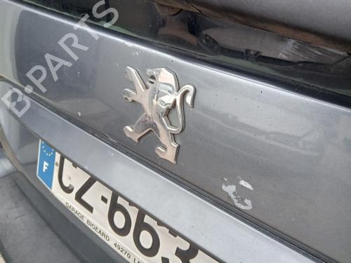 Used Tailgate Tailgate PEUGEOT 307 Break (3E) [2002-2009] 35919049 35919049