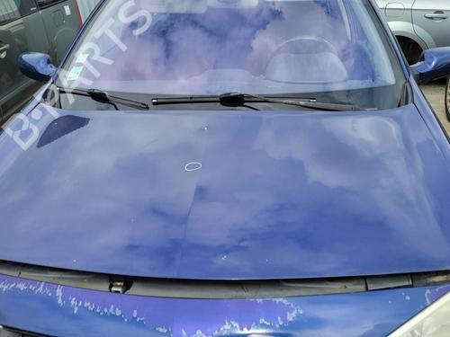 Used Hood RENAULT MEGANE II Estate (KM0/1_) 1.9 dCi (KMRG, KM1G, KM0G, KM2C) (120 hp) 27013841