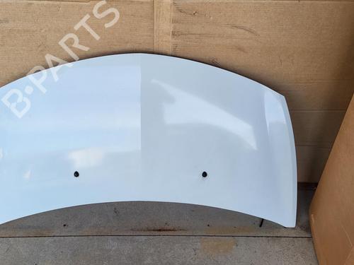 Hood RENAULT CLIO III (BR0/1, CR0/1) 1.5 dCi (C/BR0G, C/BR1G) | BP26996365C1 