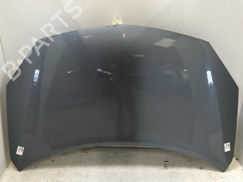 Used Hood RENAULT KOLEOS I (HY_) 2.0 dCi 4x4 (HY0K) (150 hp) 27002801