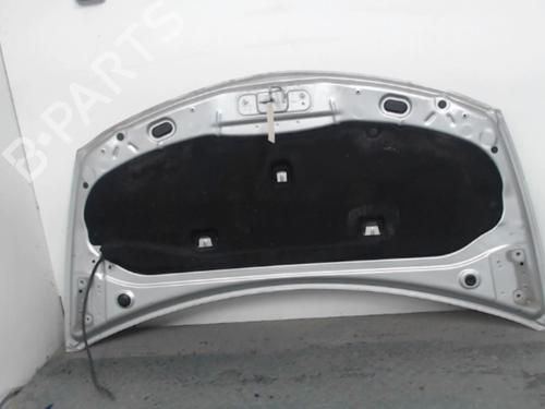 Hood RENAULT CLIO III (BR0/1, CR0/1) 1.5 dCi (C/BR0G, C/BR1G) | BP26983255C1 