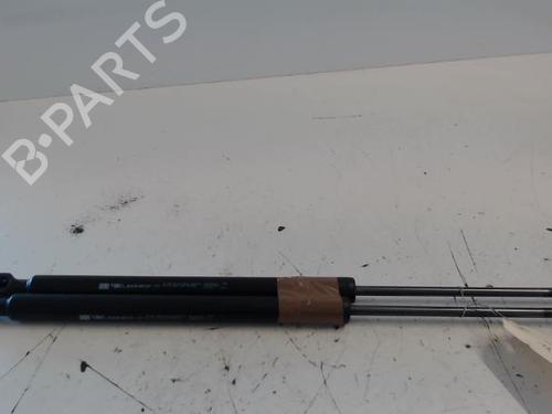 Tailgate lift support RENAULT CLIO IV (BH_) 1.5 dCi 75 | BP27002494C138 
