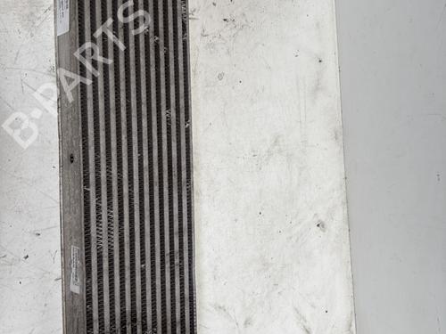 Used Intercooler NISSAN QASHQAI I (J10, NJ10) 1.5 dCi (110 hp) 28522256