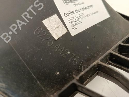 Used Grille Grille DACIA SANDERO II 1.0 SCe 75 (B8JC, B8JD, B8NC) (73 hp) 33815354 33815354