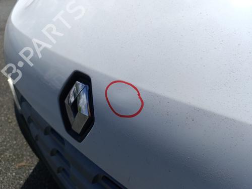Motorhjelm Motorhjelm RENAULT MASTER III Van (FV) 2.3 dCi 100 FWD (FV0A, FV0B, FV0G, FV0K, FV0H) (101 hp) 36406180 36406180