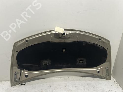 Hood RENAULT CLIO III (BR0/1, CR0/1) 1.5 dCi (BR17, CR17) | BP27014023C1 