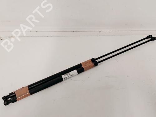 Used Tailgate lift support Tailgate lift support CITROËN XSARA PICASSO (N68) 2.0 HDi (90 hp) 34109787 34109787