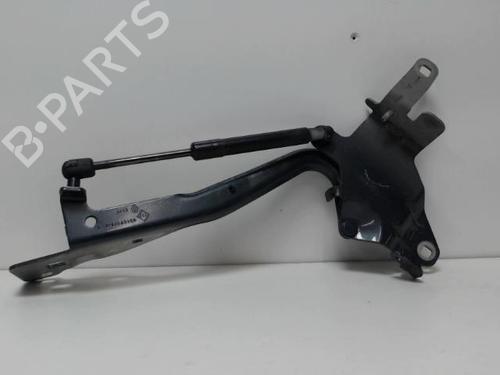 Used Hinge/Door check strap RENAULT SCÉNIC III (JZ0/1_) 1.9 dCi (JZ0J, JZ1J, JZ1K, JZ1S) (131 hp) 27005673