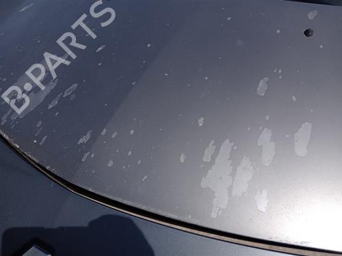 Hood RENAULT CLIO III (BR0/1, CR0/1) 1.5 dCi (C/BR0G, C/BR1G) | BP27017160C1 