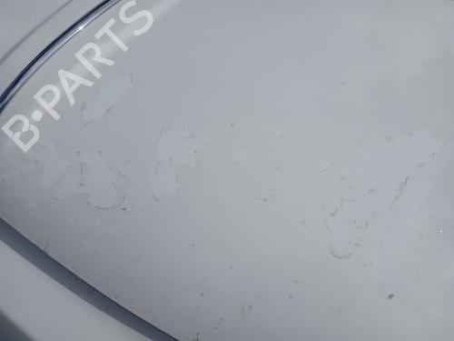 Hood FIAT 500 (312_) 1.2 (312AXA1A) | BP28823603C1 