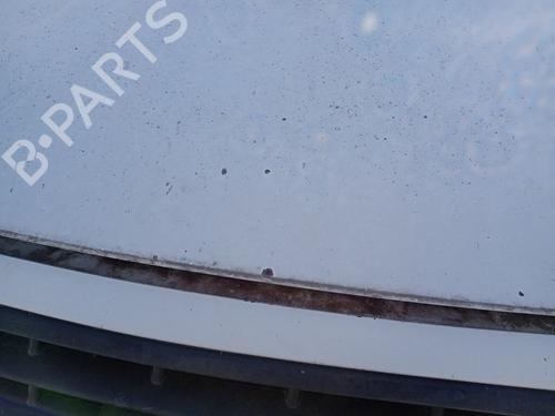 Hood FIAT SCUDO Van (220_) 2.0 JTD | BP30130036C1