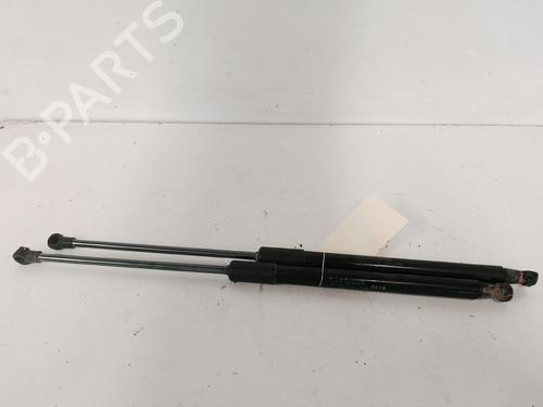 tailgate-lift-support-citroen-c3-iii-sx-2016-34054060 main image