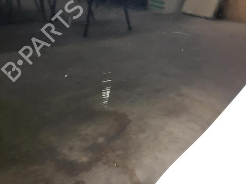 Left rear door RENAULT SCÉNIC III (JZ0/1_) 1.9 dCi (JZ0J, JZ1J, JZ1K, JZ1S) | BP26996142C4 