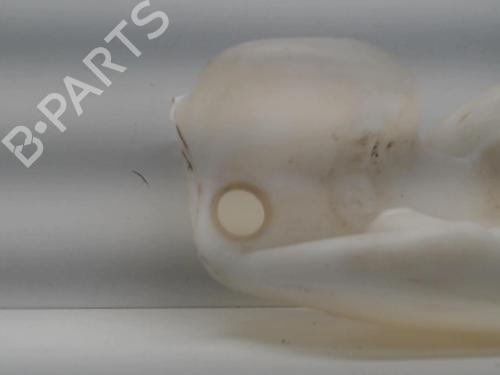 Used Windscreen washer tank CITROËN BERLINGO / BERLINGO FIRST Box Body/MPV (M_) 1.9 D 70 (MBWJZ, MCWJZ) (69 hp) 26999739