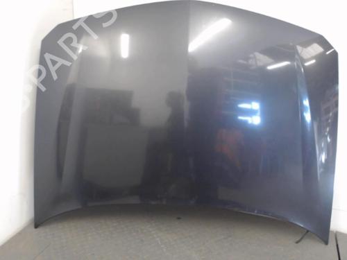 Used Hood RENAULT LAGUNA II (BG0/1_) 1.9 dCi (BG1A, BG1W, BG0G) (110 hp) 27015340
