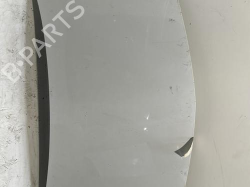 Used Hood RENAULT MEGANE II (BM0/1_, CM0/1_) 1.5 dCi (BM1E, CM1E) (106 hp) 26997911