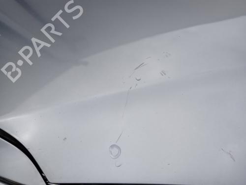 Hood OPEL INSIGNIA A Sports Tourer (G09) 2.0 CDTI (35) | BP29846825C1
