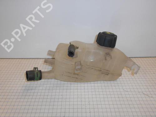 Used Expansion tank RENAULT MEGANE III Grandtour (KZ0/1) 1.5 dCi (KZ09, KZ0D, KZ1G, KZ29, KZ14, KZ1W, KZ10, KZ1F,... (110 hp) 27022441