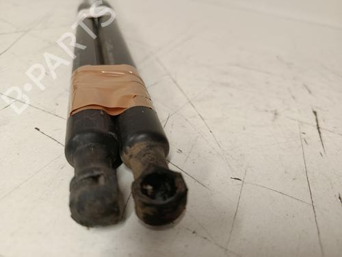 tailgate-lift-support-citroen-c3-ii-sc_-2009-33806040 main image