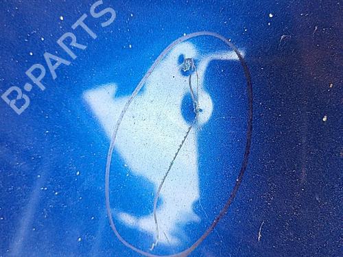 Hood FIAT GRANDE PUNTO (199_) 1.9 D Multijet | BP26996531C1 