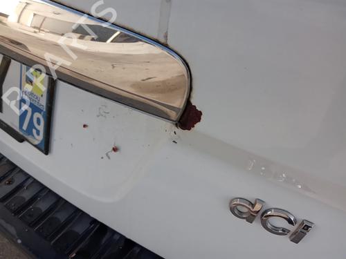 Tailgate RENAULT SCÉNIC III (JZ0/1_) 1.5 dCi (JZ02, JZ0R) | BP29725519C6 