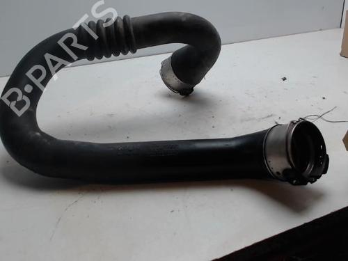 Rør RENAULT SCÉNIC III (JZ0/1_) 1.2 TCe (116 hp) 32139179