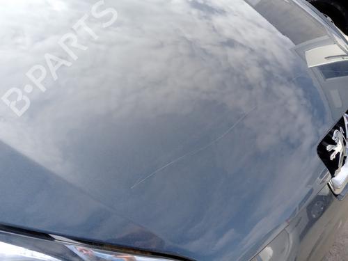 hood-peugeot-407-6d_-2004-2005-2006-2007-2008-2009-2010-2011-30174642 main image