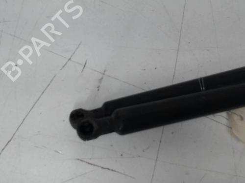 Achterklepdemper RENAULT SCÉNIC III (JZ0/1_) 1.5 dCi | BP30680218C138