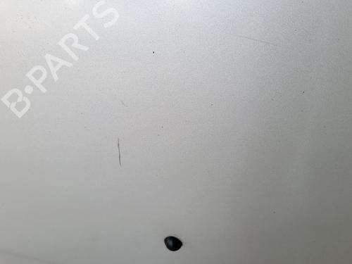 Hood RENAULT CLIO III (BR0/1, CR0/1) 1.4 16V | BP27024649C1 