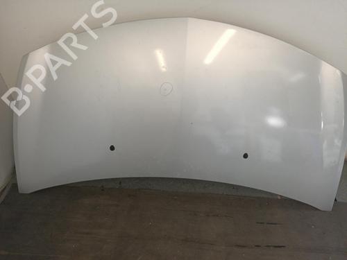 Hood RENAULT CLIO III (BR0/1, CR0/1) 1.2 16V Hi-Flex (BR1U, CR1U) | BP27019844C1 