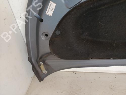 Capot Capot CITROËN C3 II (SC_) 1.6 HDi (92 hp) 33806024 33806024