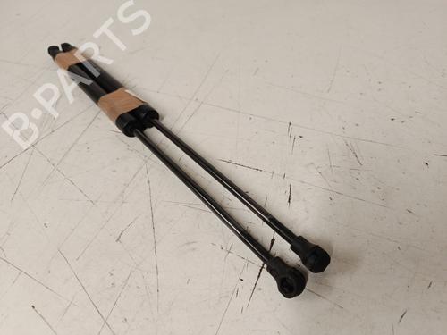 tailgate-lift-support-citroen-c3-ii-sc_-2009-33959332 main image