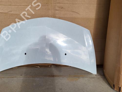 Used Hood RENAULT CLIO III (BR0/1, CR0/1) 1.5 dCi (BR17, CR17) (86 hp) 26996151