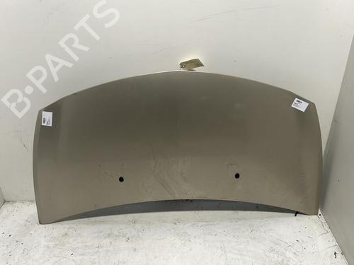 Used Hood RENAULT CLIO III (BR0/1, CR0/1) 1.5 dCi (BR17, CR17) (86 hp) 27014023