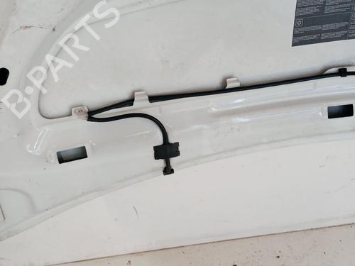 hood-renault-kangoo-express-fw01_-2008-28303327 main image