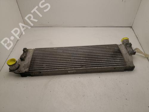 Used Intercooler Intercooler RENAULT MEGANE II (BM0/1_, CM0/1_) 1.9 dCi (BM0G, CM0G) (120 hp) 27130584 27130584