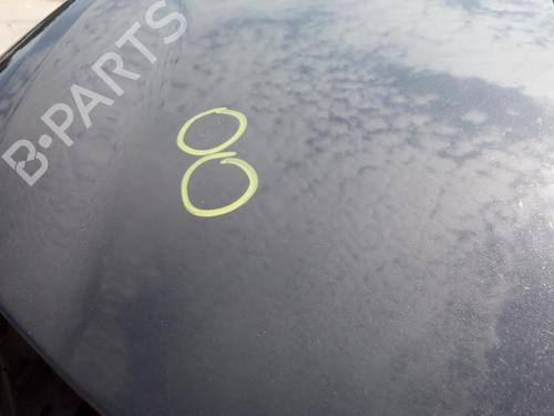 Hood RENAULT CLIO III (BR0/1, CR0/1) 1.2 16V (BR02, BR0J, BR11, CR02, CR0J, CR11) | BP27139391C1