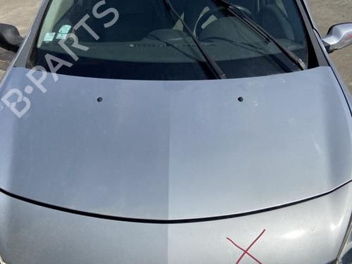 hood-renault-clio-iii-br01-cr01-2005-2006-2007-2008-2009-2010-2011-2012-2013-2014-33883922 main image