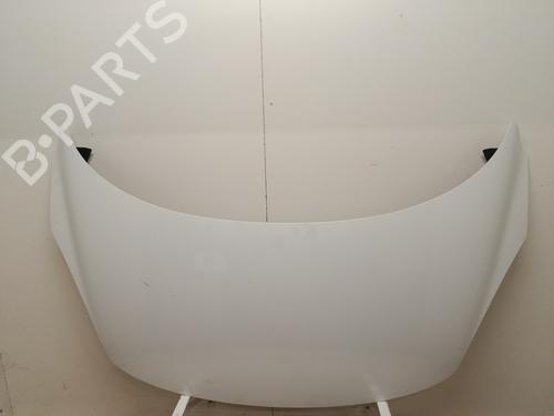 hood-renault-scenic-iii-jz01_-2008-2009-2010-2011-2012-2013-2014-2015-2016-33631229 main image