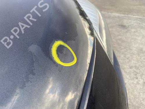 Hood RENAULT MEGANE III Hatchback (BZ0/1_, B3_) 1.5 dCi (BZ09, BZ0D, BZ1W, BZ29, BZ14) | BP29898969C1