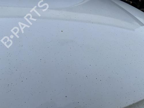 Hood PEUGEOT PARTNER MPV (5_, G_) 1.6 HDi 90 | BP29065470C1 