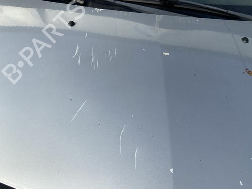 Hood RENAULT CLIO III (BR0/1, CR0/1) 1.5 dCi (BR17, CR17) | BP30101456C1 