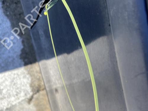 Left rear door OPEL CORSA B (S93) 1.2 i (F08, F68, M68) | BP29431860C4 