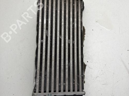 Used Intercooler Intercooler FORD PUMA (J2K, CF7) 1.0 EcoBoost mHEV (125 hp) 27114028 27114028