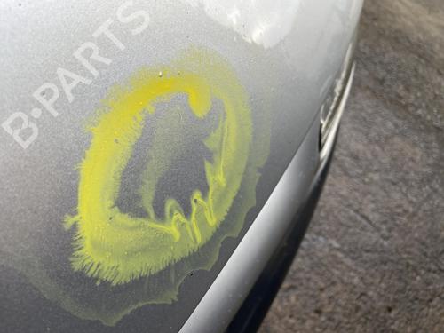 Hood RENAULT ESPACE III (JE0_) 2.2 dCi (JE0K) | BP29924748C1